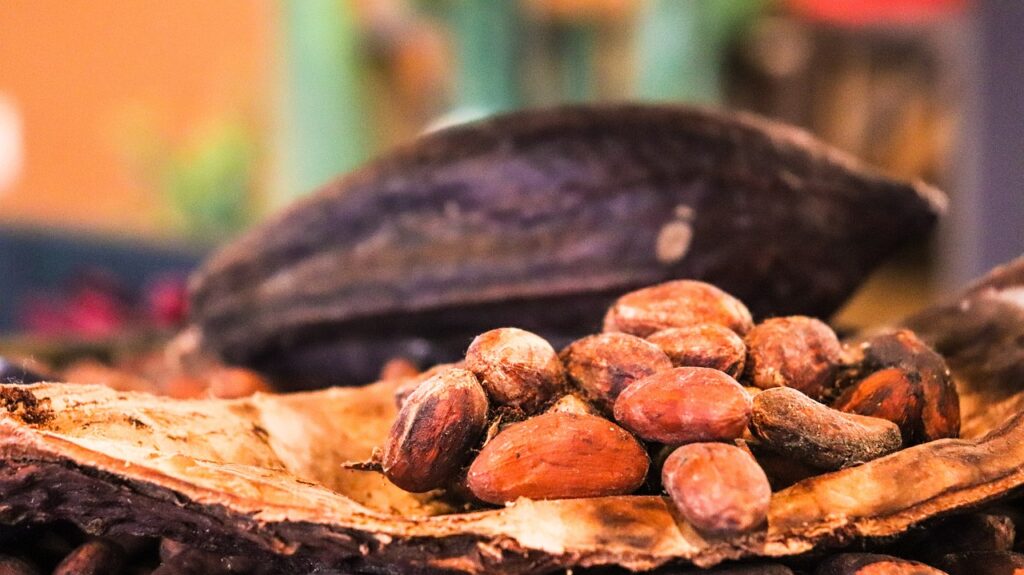Cocoa Prices Push Higher as Fertilizer Supplies Tighten in West Africa