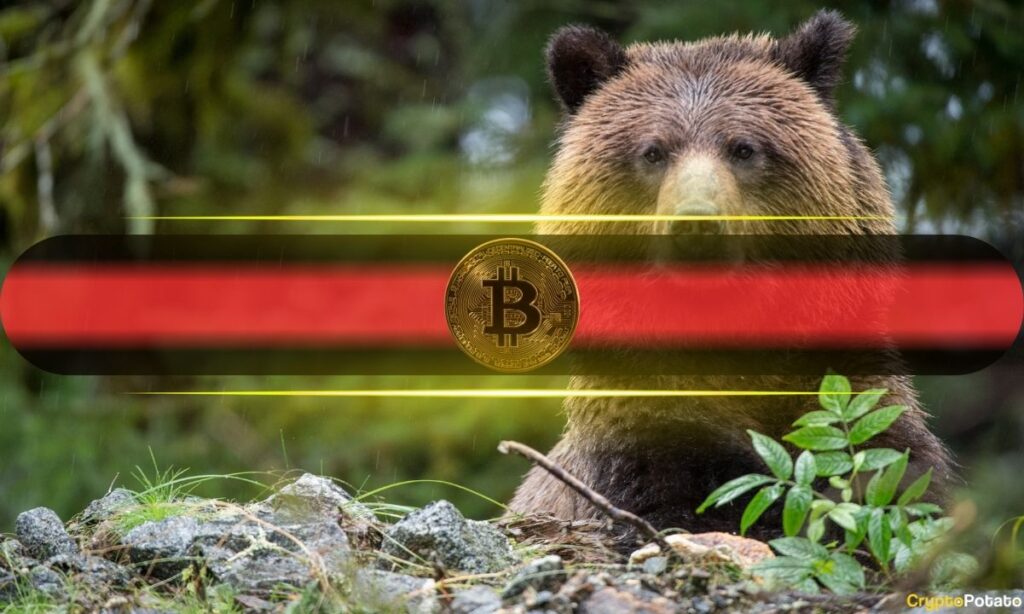 Bitcoin’s Key Resistance Stall Could Send it Tumbling Much Lower: Analysts Bitcoin's Key Resistance Stall Could Send it Tumbling Much Lower: Analysts
