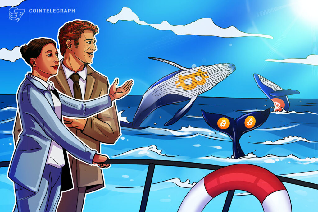 Bitcoin Whales Due Credit for $64,000 BTC Price Rebound, Says CryptoQuant Cointelegraph
